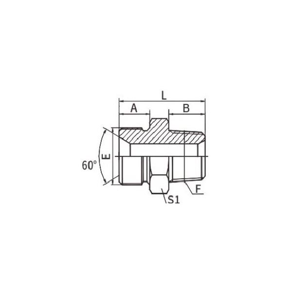 BSP Male 60° Seat Bulkhead