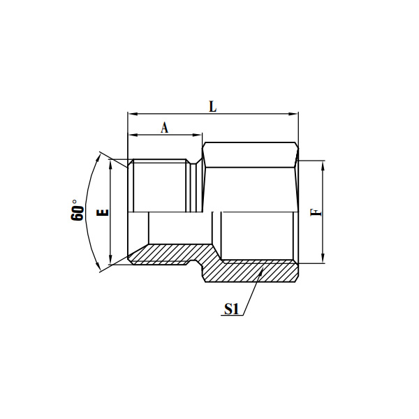 Butt-Weld Tube/BSP Female 60 ° Cone