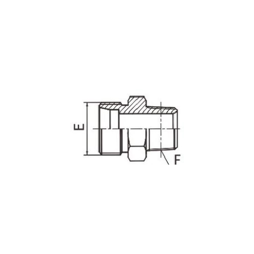 DIN Metric Male 24°L .T./NPT Male 60°